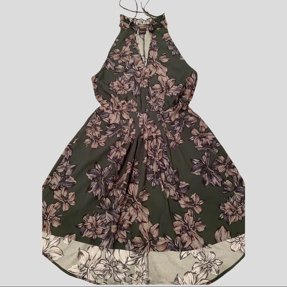 Free Press High-Low Botanical Floral Sun Dress